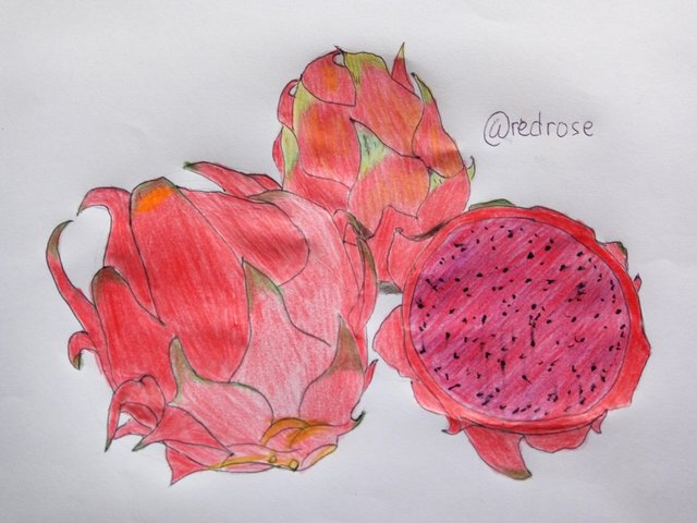 Featured image of post Dragon Fruit Drawing Images These fruits grow on hylocereus cacti and with some tender professional growers sell dragon fruit plants that are ready to be transplanted to your garden