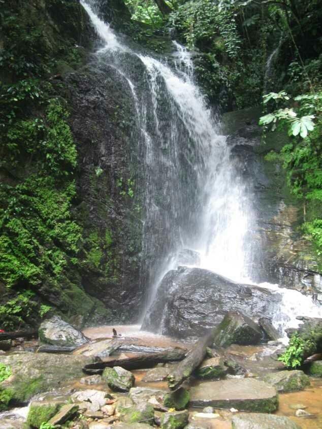 Amazing Scenery at Olumirin Waterfall, Erin Ijesha — Steemit