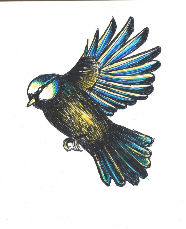 Lucias Studio on Twitter Be free as a Bird art owl illustration  fly pen drawing sketch artist freedom  httpstcoqfWXYbHjdD   X