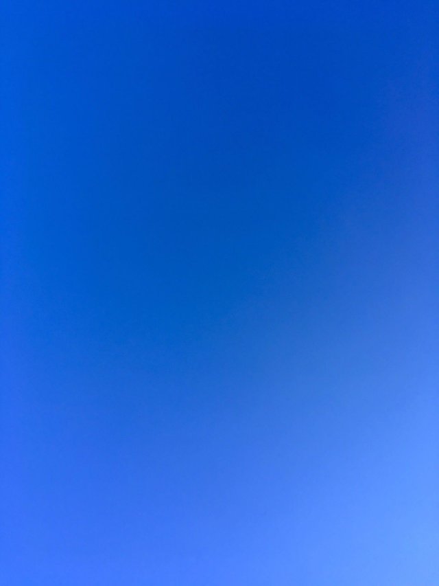 cielo-blue