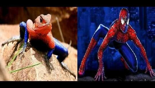 Unique, lizard skin color is very similar to Spiderman — Steemit