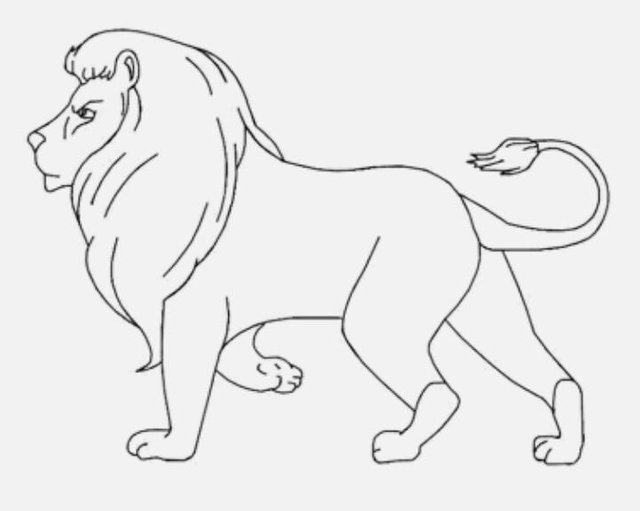 how to draw a baby lion step by step