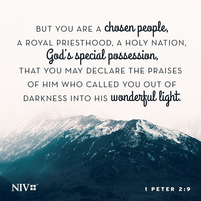 Verse Of The Day 1 Peter 29 Steemit