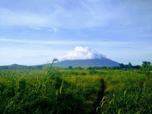 Gunung Ile Ape Di Pulau Lembata Ntt Indonesian Steemit