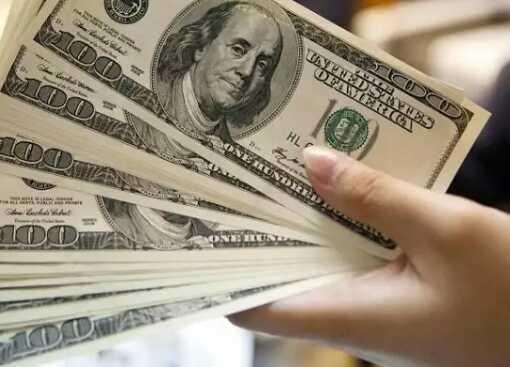 Abaka Banana Raw Material Of American Dollar Money There Is Abaka Banana Raw Material Of American