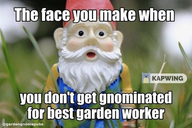 garden gnome meme contest