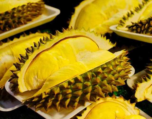 à¸— à¹€à¸£ à¸¢à¸™à¸  à¹€à¸‚à¸²à¹„à¸Ÿ Lava Durian Steemit