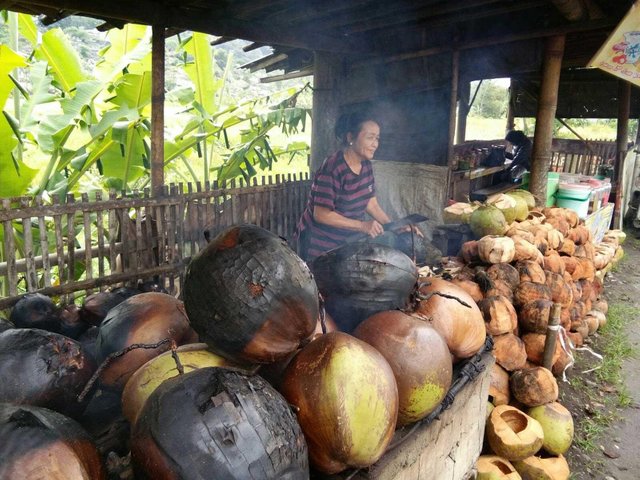  Kelapa Muda Bakar dan Khasiatnya Steemit