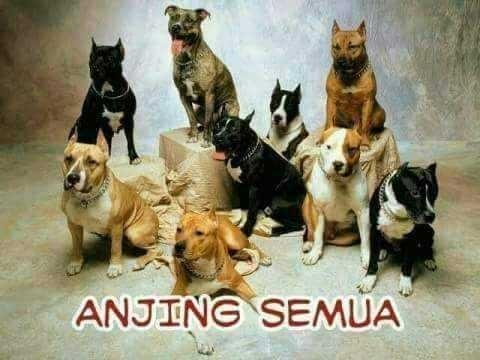 Kata Kata Sehari Yang Kita Gunakan Wkwkwkw Steemit