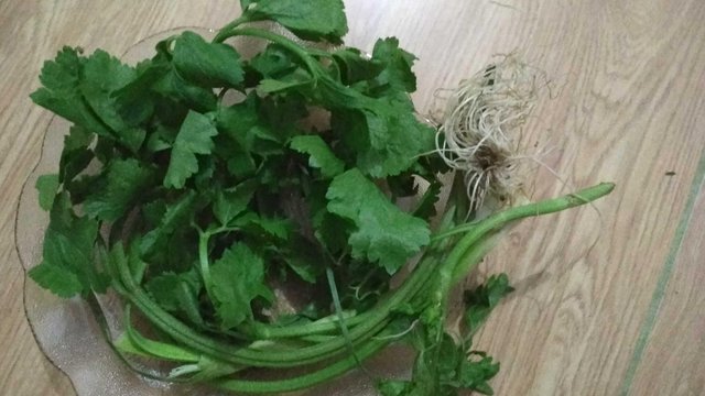 The Meaning Of Celery Leaves And Its Benefits Steemit