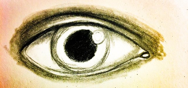 Hand Drawn Pencil Eyes Step By Step Steemit