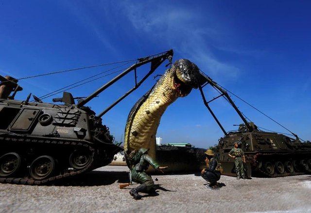 GIANT SNAKE FOUND IN THE RED SEA 