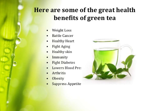 Everyday Green Tea Know The Benefits Steemit