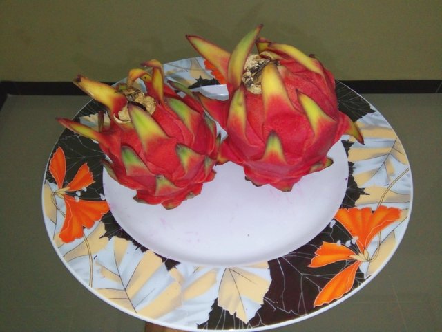 Buah Naga Lezat Dan Berkhasiat Dragon Fruit Delicious And Nutritious Ind English Steemit