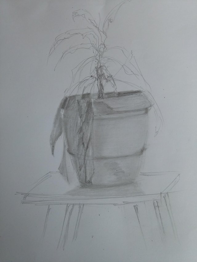 My Sketch Of The Dayflower Vase Steemit