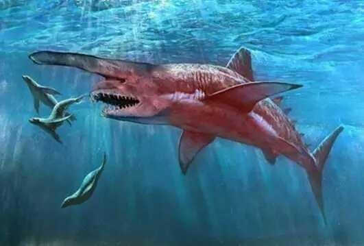 The Mysterious Inhabitant Of The Bermuda Triangle Steemit The Mysterious Inhabitant Of The Bermuda Triangle Steemit