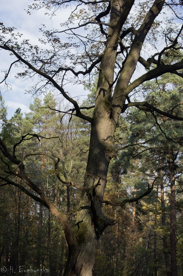 c9p5d27mv0.jpg