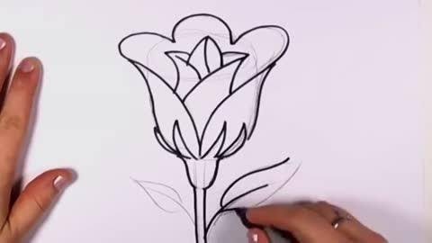 Gambar Bunga Yg  Mudah  Digambar Kumpulan Gambar Bunga