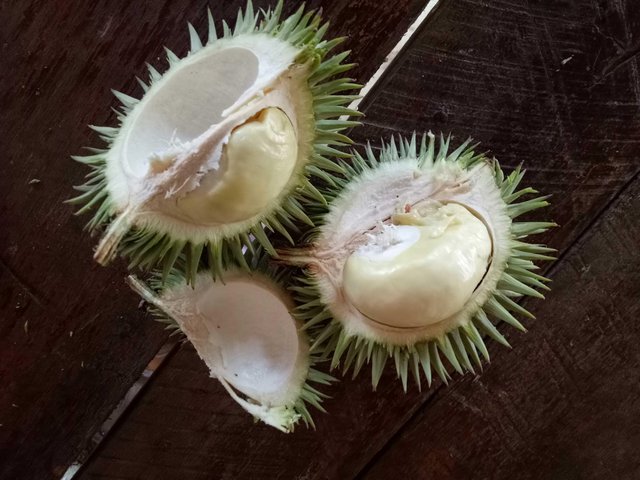 Download 4100 Koleksi Gambar Durian Kecil  HD