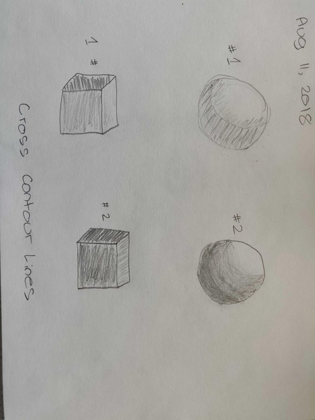 Exercise 2 – Contour Drawing Objects