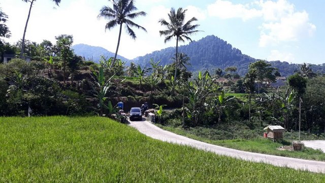 Gunung Gede Taman Nasional Gede Pangrango Steemit