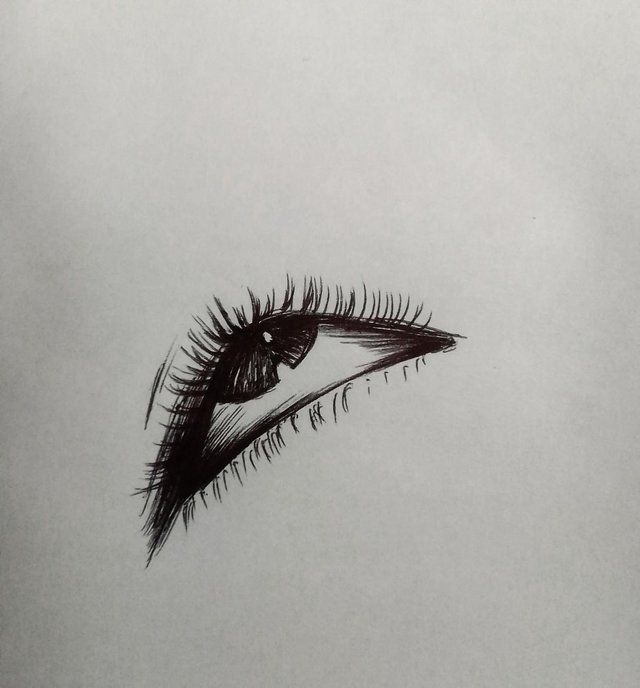 Rolled Eye Ink Drawing Steemit