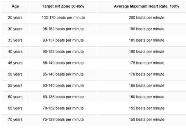 Pulse Rate During Exercise Chart