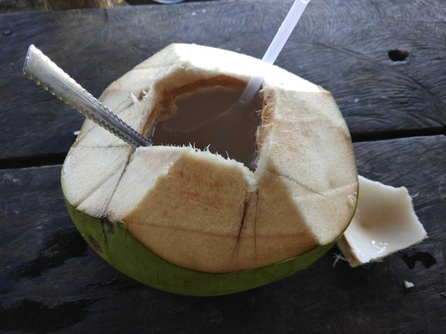 Air Kelapa Muda Steemit