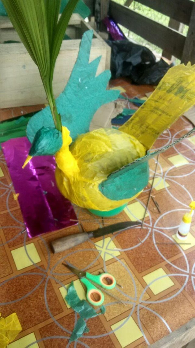 Coconut Fruit In Ornamental So Birds Buah Kelapa Di Hias Jadi