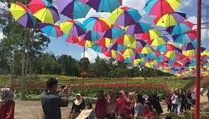 Merangin Garden Taman Bunga Wisata Baru Di Merangin Jambi