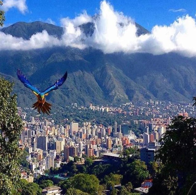 Caracas City - Venezuela Country — Steemit