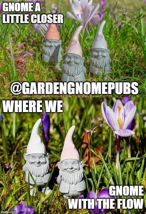 garden gnomes