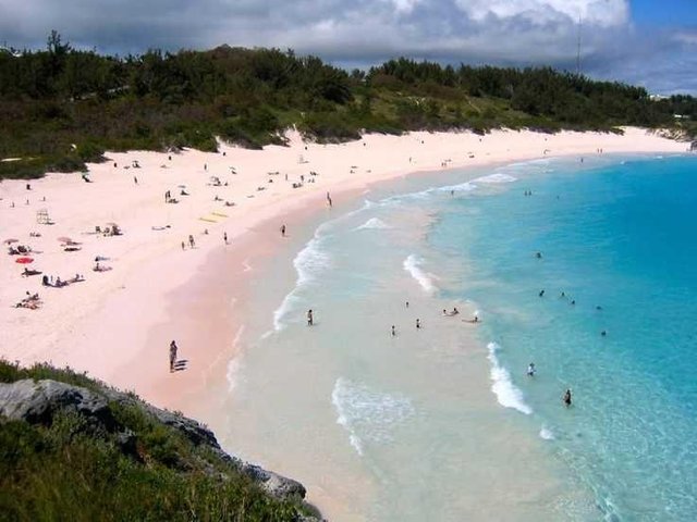 Discover the unique pink sand beach of the world 😍 — Steemit