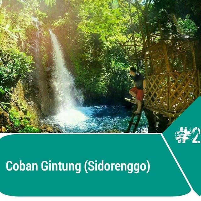 5 Hidden Paradise In Ampelgading Malang Steemit