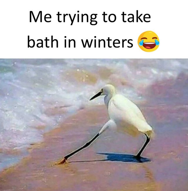 Me Trying To Take Bath In Winters Steemit