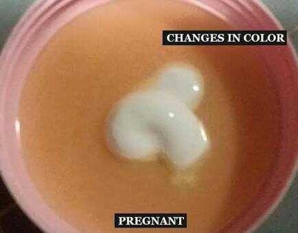 PREGNANCY TEST KIT