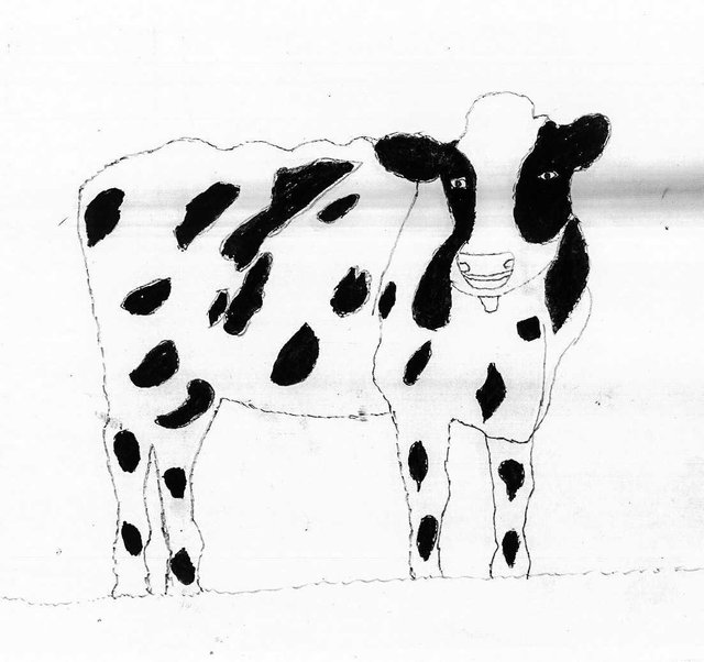 Cute Cow Drawing Colouring Page Cute Cow with Beautiful Eyes Colour the  Picture Stock Illustration  Illustration of white page 216262026