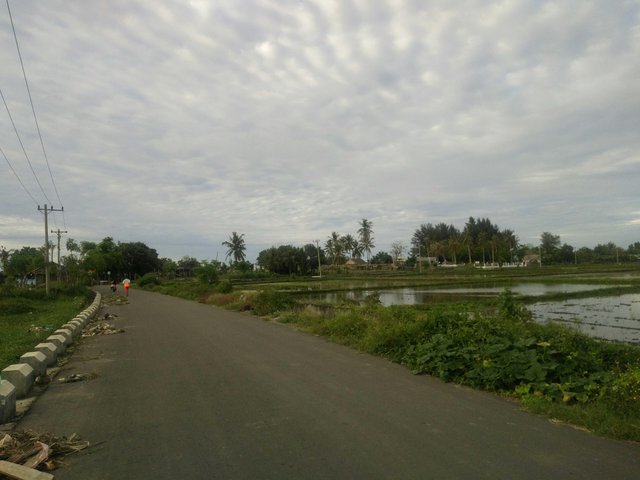 23+ Pemandangan Senja Di Sawah - Pemandangan Indah Sekali