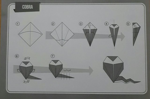 Origami #1 - Cobra — Steemit