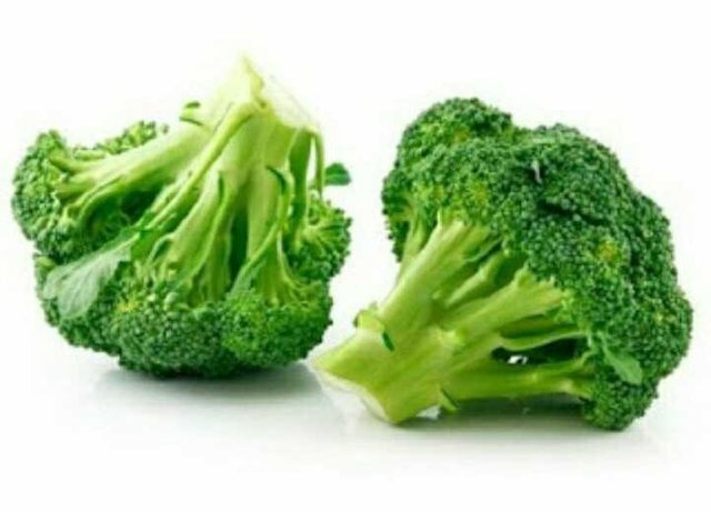  Gambar Sayur Brokoli  HOBI SAYUR 