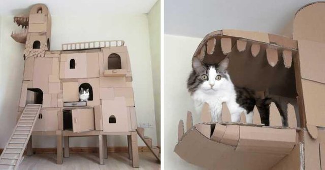 Cat House From Cardboard Steemit