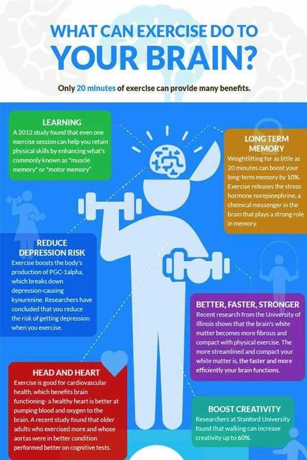 Benefits of exercise in your body and brain. — Steemit