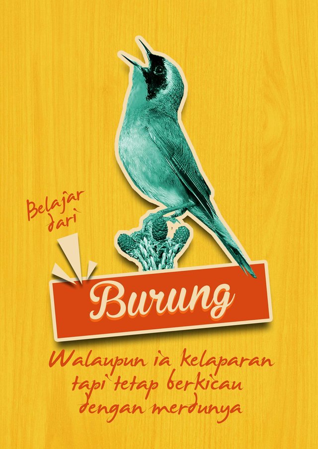 Qoutes Burung Steemit