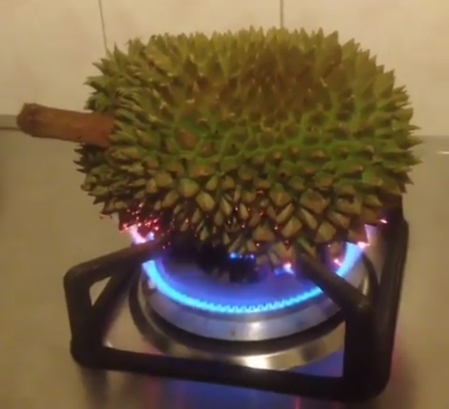 Download 540 Koleksi Gambar Durian Bakar Keren Gratis HD