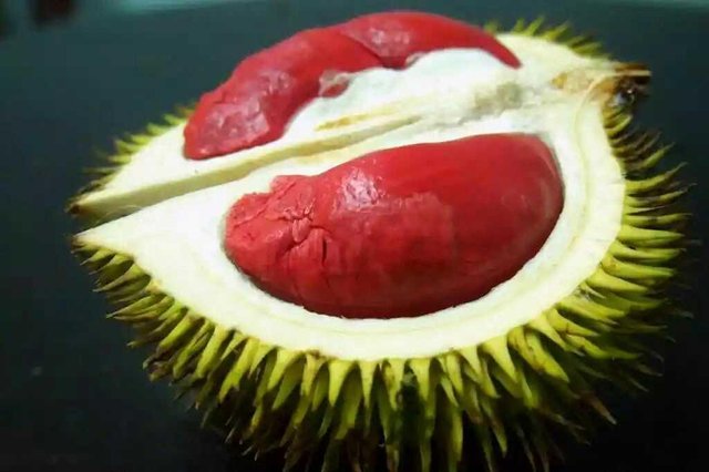 Unduh 510 Gambar Durian Isi Merah Terbaik Gratis