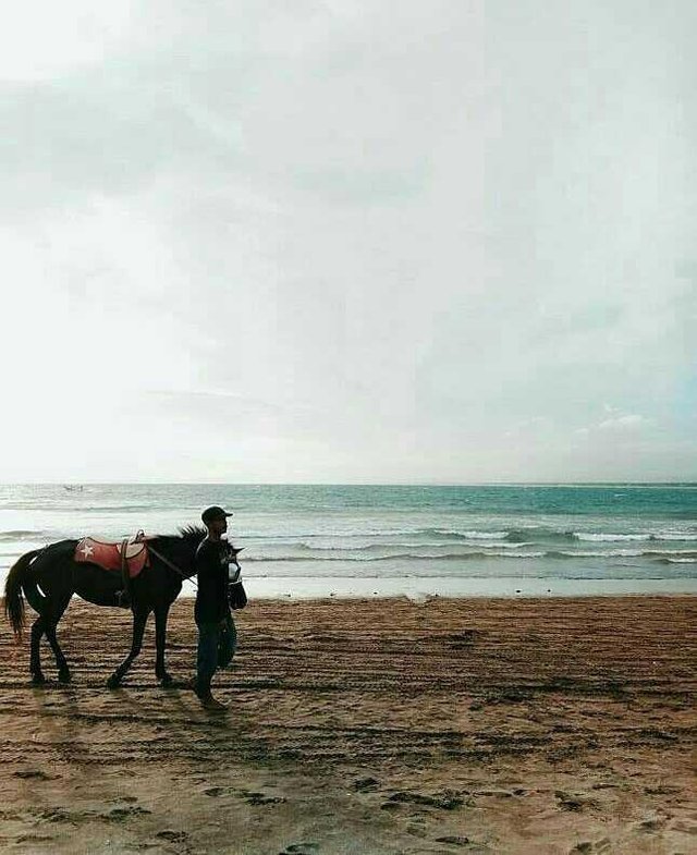 Cool Beach In West Java Steemit