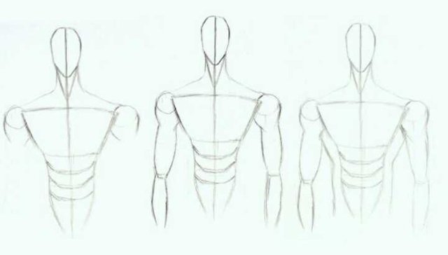 anime boy body structure