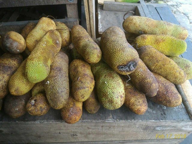 Buah Cempedak Steemit Buah Cempedak Steemit