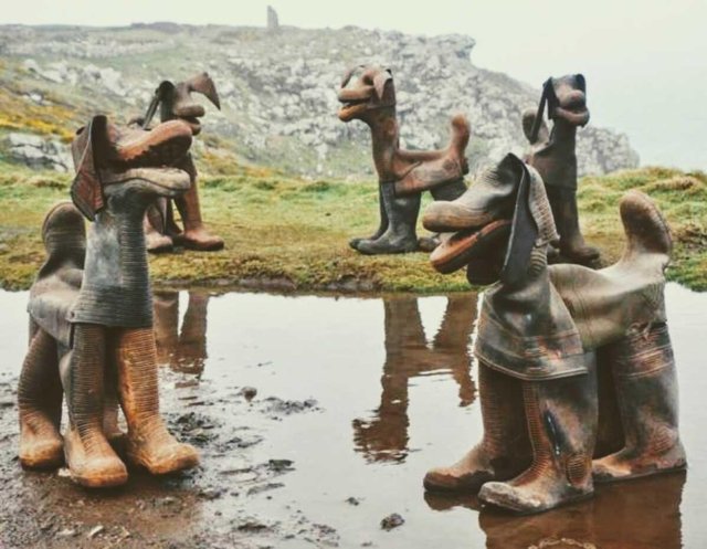 dog welly boots