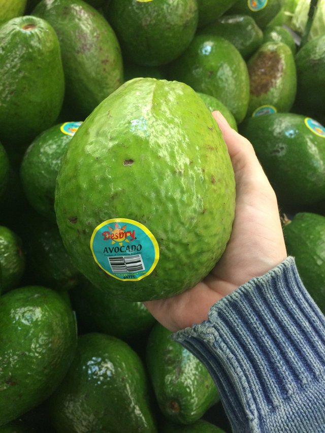Jumbo Avocado 🥑 — Steemit